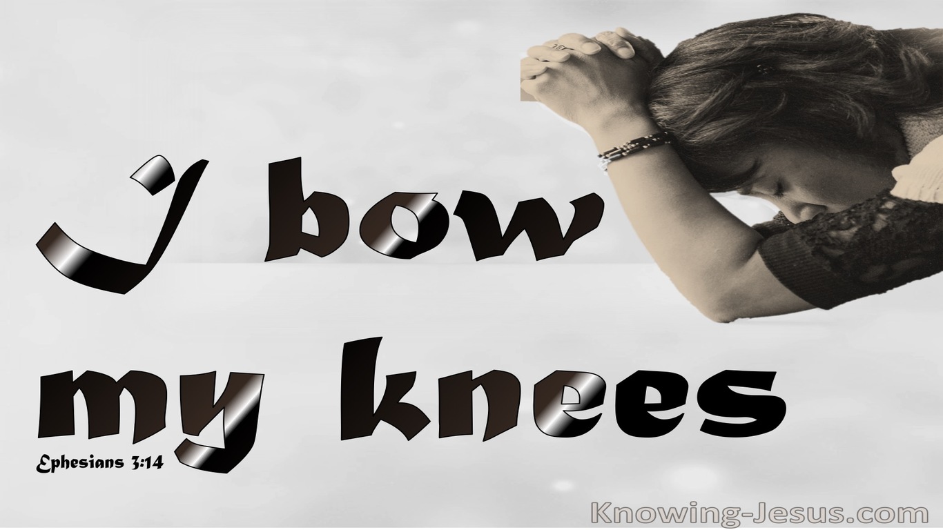 Ephesians 3:14 Bow The Knee Before The Father (gray)